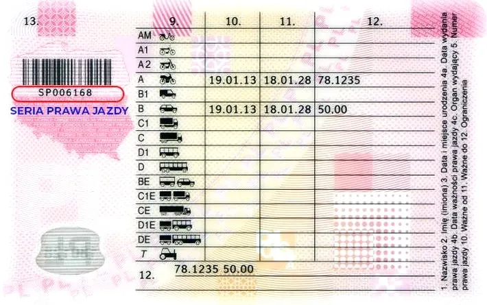 Nowe prawo jazdy: jak je zdobyć i uniknąć błędów